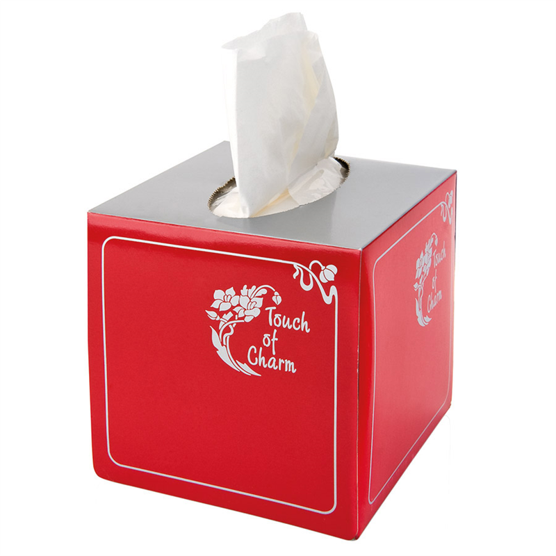 100 U. 2-ply cube tissues - Cube at wholesale prices