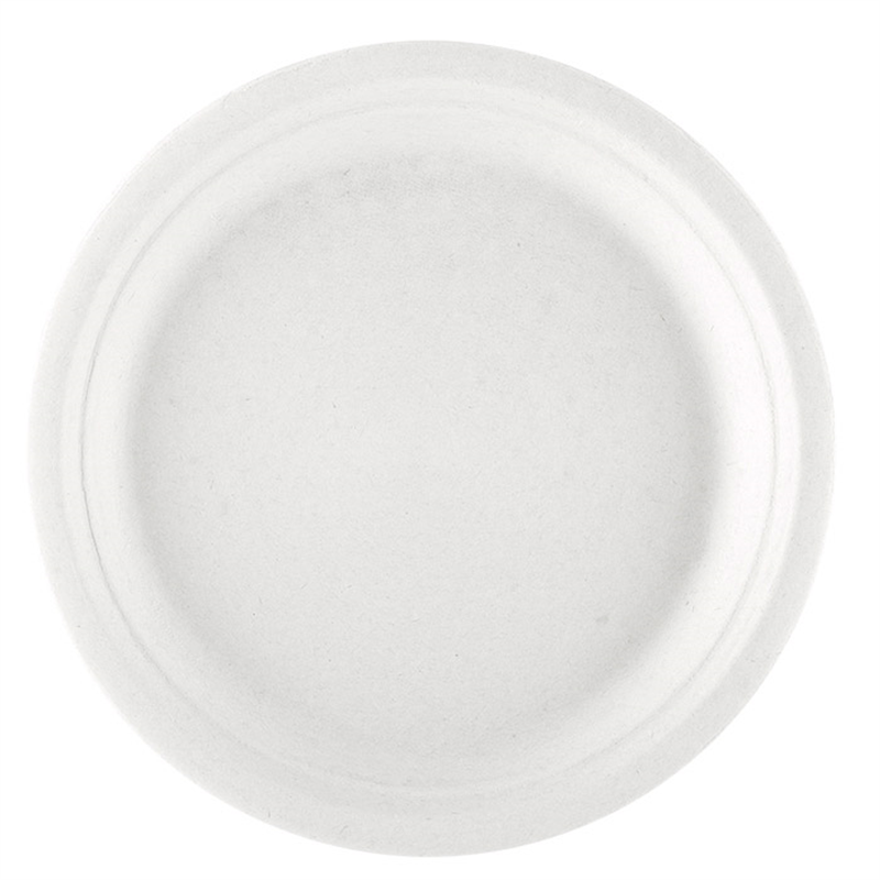 Pack of 500 plates - single use plate at wholesale prices