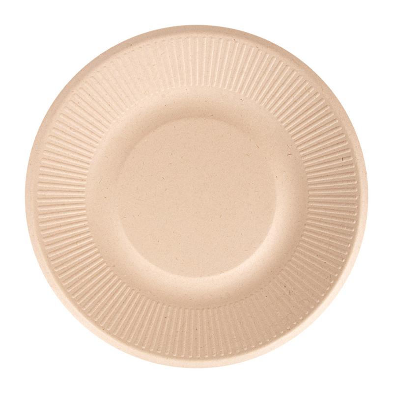 Lot de 1000 Assiettes à prix grossiste - assiette à usage unique à prix de gros