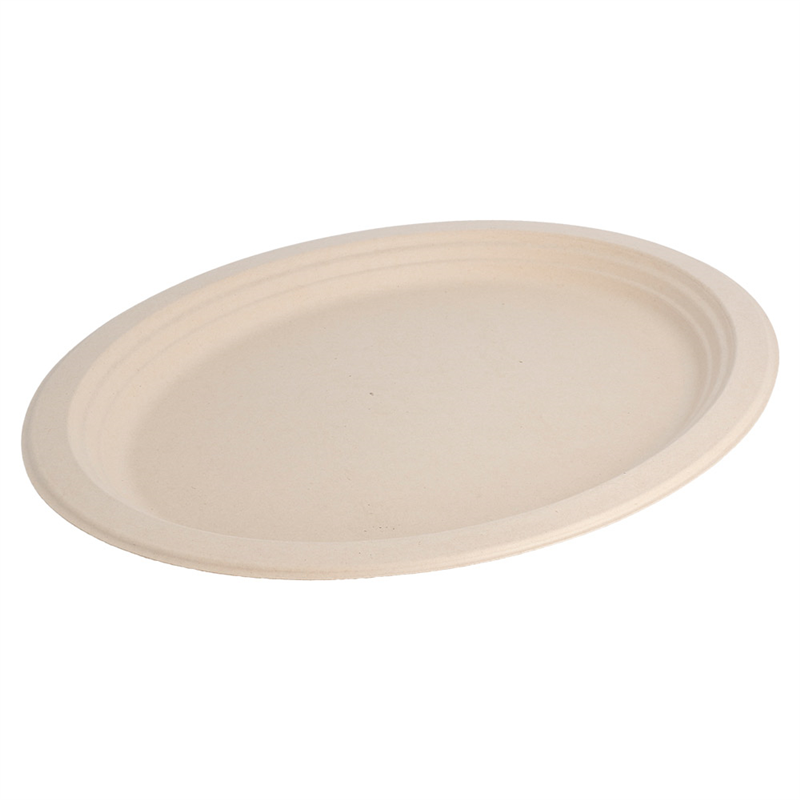Pack of 500 Oval Plates - single use plate at wholesale prices