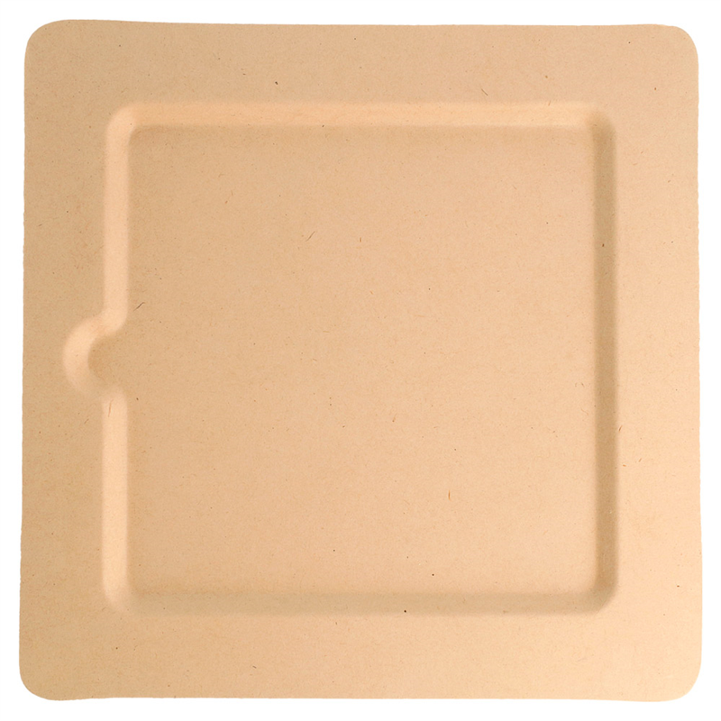 Set of 200 Square Plates - single use plate at wholesale prices