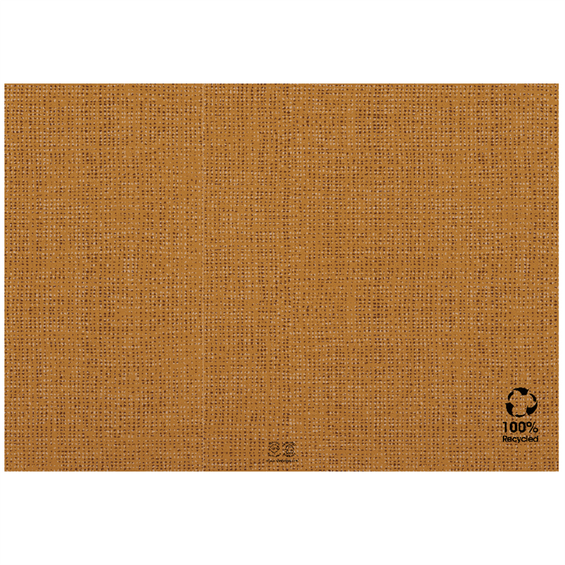Pack of 2000 Ecological Placemats 48 G/m2 - placemat at wholesale prices
