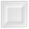 Pack of 500 Square Plates - single use plate at wholesale prices