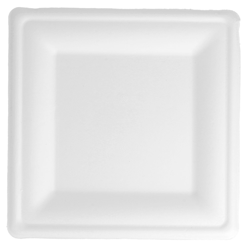 Pack of 500 Square Plates - single use plate at wholesale prices