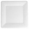 Pack of 300 Square Plates - single use plate at wholesale prices