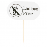 Lot de 100 Piques lactose Free - Produit en bois à prix grossiste Lot de 100 Piques lactose Free - Produit en bois à prix grossiste