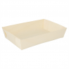 100 Rectangular Trays - tray at wholesale prices