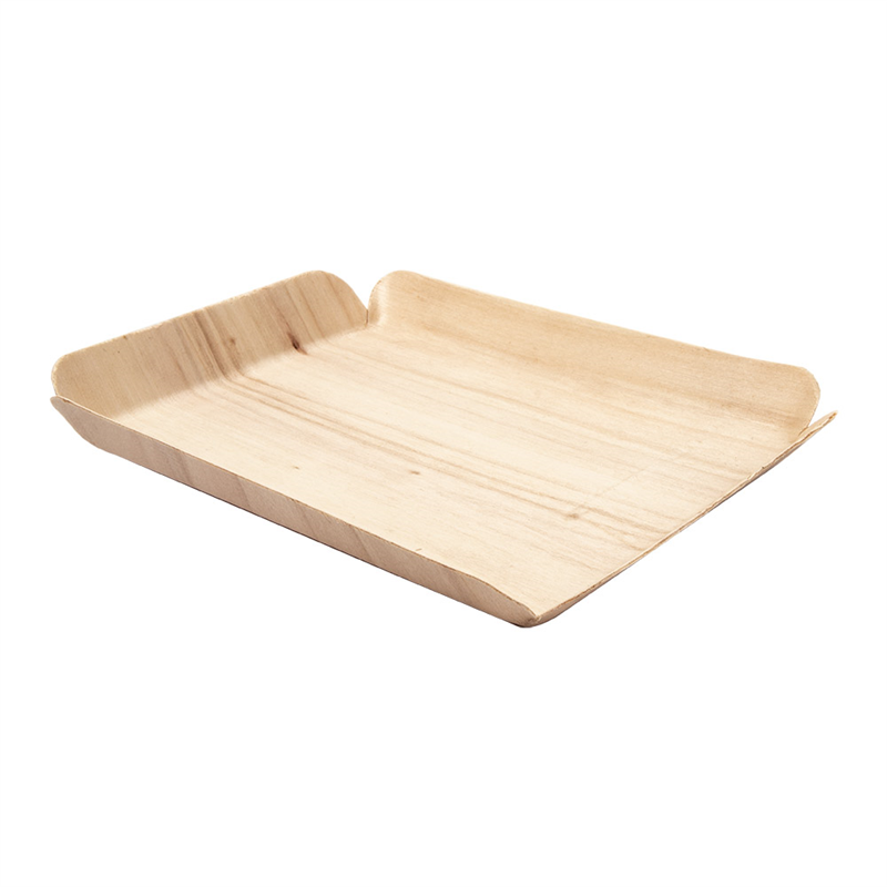 Pack of 50 Rectangular Trays - tray at wholesale prices