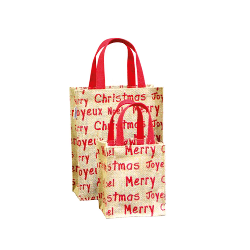 Pack of 10 Bags - Christmas - Natural bag at wholesale prices