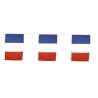 TRICOLOR FLAG GARLAND 10M - Flag at wholesale prices