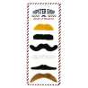 MOUSTACHE PARTY SET DE 6 MOUSTACHES ASSORTIES - moustache à prix grossiste
