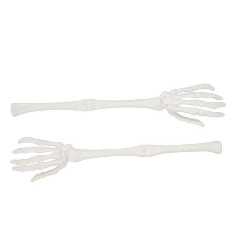 WHITE SKELETON ARMS X 2 - skeleton at wholesale prices