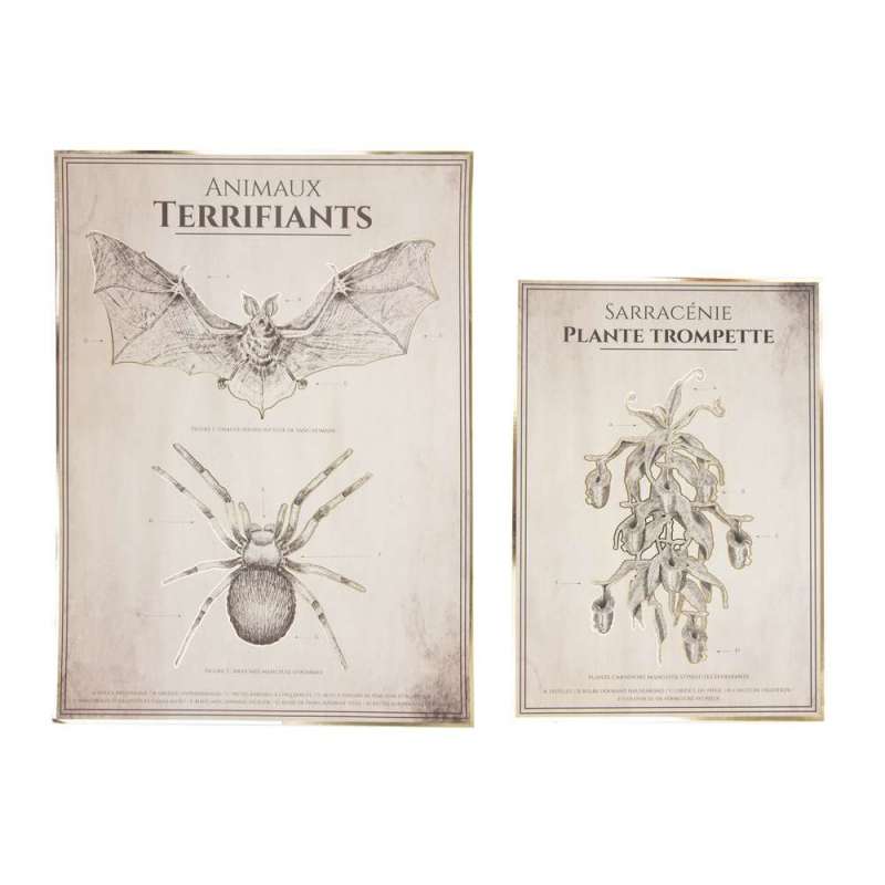 Carteles Anatomía Animal 30x40cm y 21x30cm - decoración de Halloween a precios de mayorista