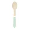 PASTEL GREEN WOODEN SPOONS X 8 - Wooden spoon at wholesale prices