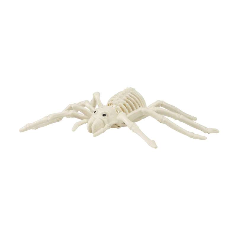 SPIDER SKELETON - skeleton at wholesale prices