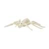 25cm Spinnen Skelet Decoratie - squelette tegen groothandelsprijzen