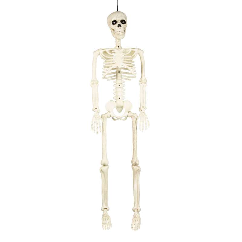 SQUELETTE 90CM - skeleton at wholesale prices