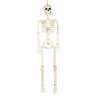 Skelet 90 cm dekorationsfigur - skelet til engrospris Skelet 90 cm dekorationsfigur - skelet til engrospris