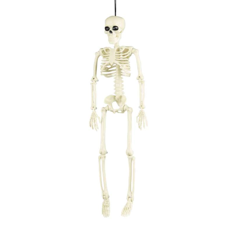 SQUELETTE 40CM - skeleton at wholesale prices