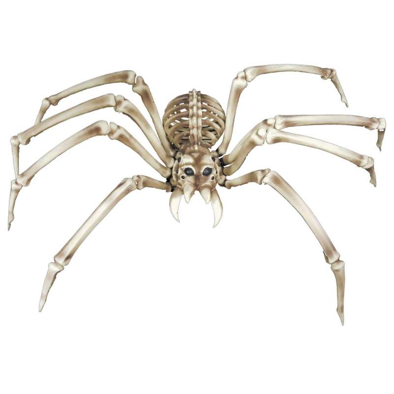 Esqueleto de Aranha Gigante 82 cm - esqueleto a preço grossista