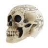 SKULL SKELETON PENTAGRAM - skeleton at wholesale prices