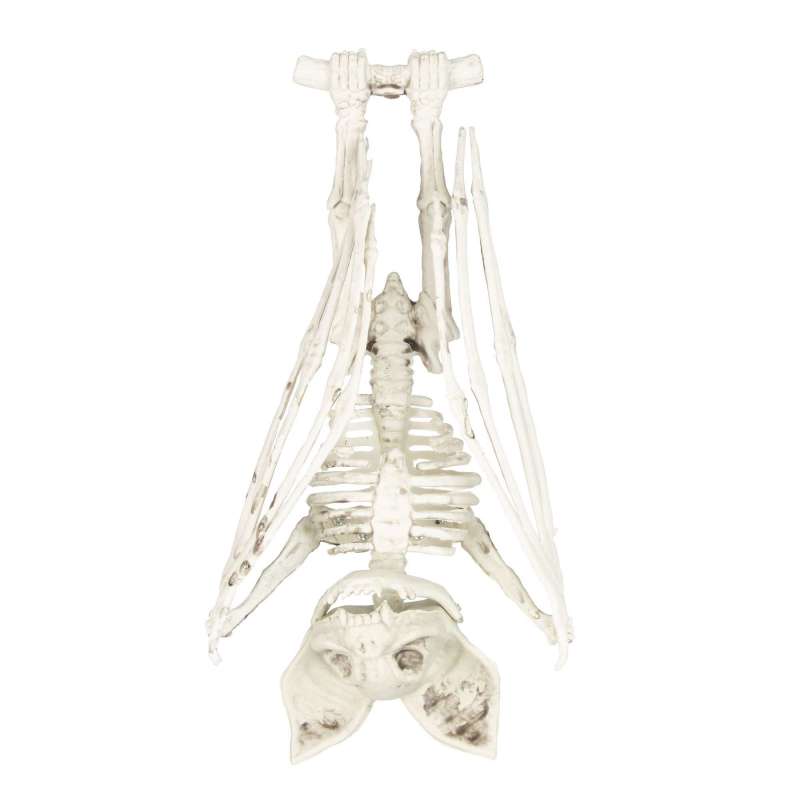 27CM Vleermuis Skelet Decoratie tegen groothandelsprijzen - squelette tegen groothandelsprijzen