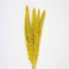 SET OF 5 MUSTARD-YELLOW DOUDOU PAMPAS - feather duster at wholesale prices