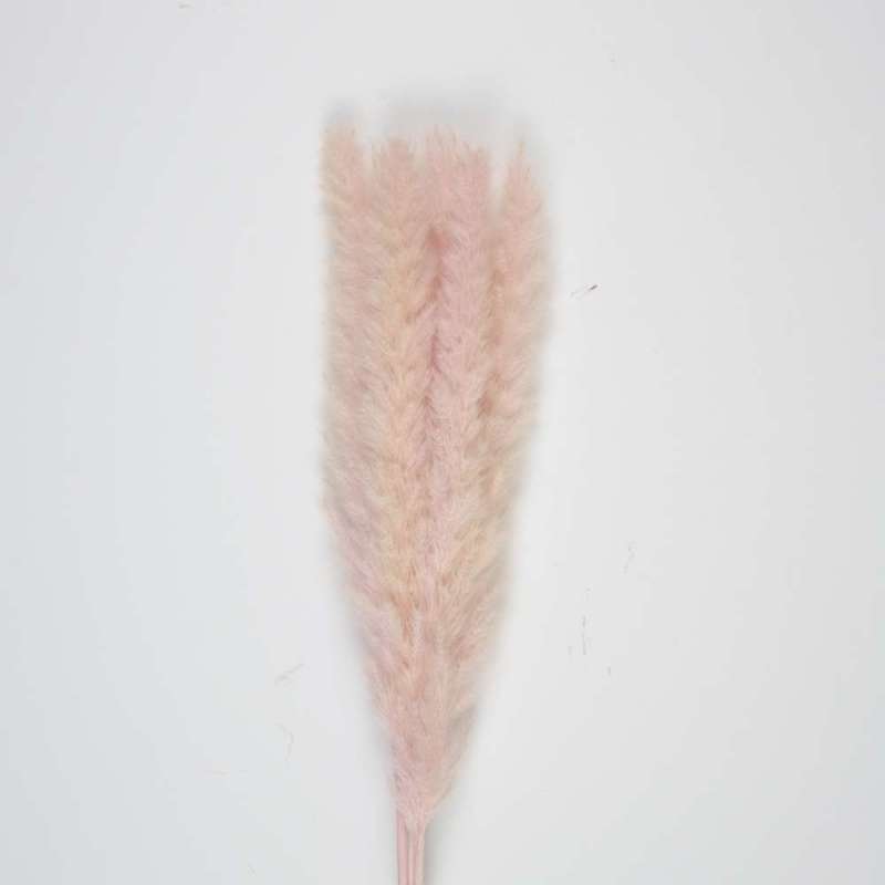 SET OF 5 VINTAGE PINK DOUDOU PAMPAS - feather duster at wholesale prices