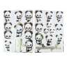 A5 Panda Stickers Set van 25 Stuks - Sticker tegen groothandelsprijzen