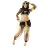 Disfraz de Danza Oriental con Voile - Disfraz a precios de mayorista