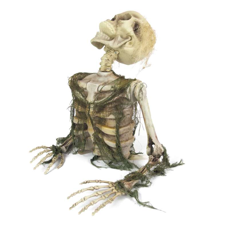 SCARY UNDEAD SKELETON - skeleton at wholesale prices