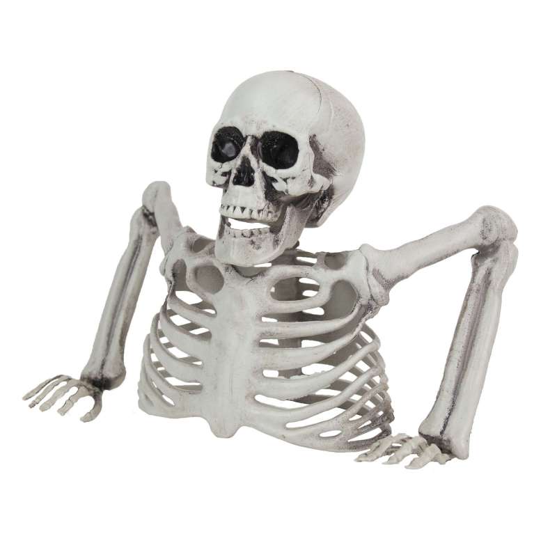 UNDEAD SKELETON - skeleton at wholesale prices