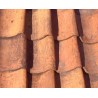 Pantile or torch tiles (straw) - Antique tile at wholesale prices